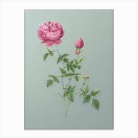 Vintage Pink Autumn China Rose Botanical Art on Mint Green n.0249 Canvas Print