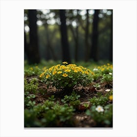 Yellow Flowers In The Forest Canvas Print