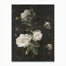 Still Life French Roses Canvas Print