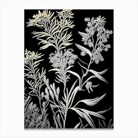 Goldenrod Wildflower Linocut 1 Canvas Print