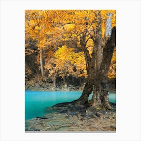 Autumn Trees In The River Canvas Print