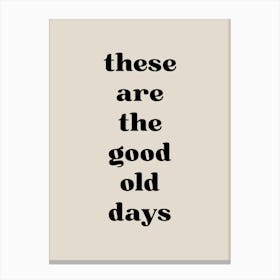 These Are The Good Old Days 2 Canvas Print