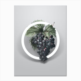 Vintage Grape Vine Minimalist Botanical Geometric Circle on Soft Gray Canvas Print