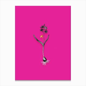 Vintage Alpine Squill Black and White Gold Leaf Floral Art on Hot Pink n.0815 Canvas Print