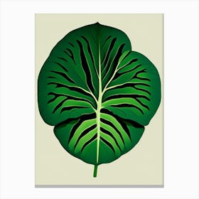 Gotu Kola Leaf Vibrant Inspired Canvas Print