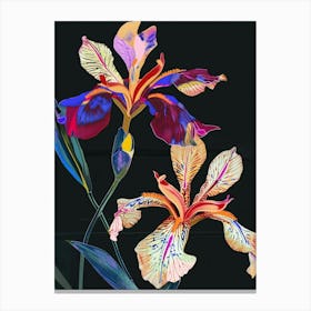 Neon Flowers On Black Iris 1 Canvas Print