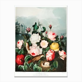 Roses And Birds 1 Canvas Print