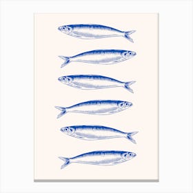 Sardines 3 Canvas Print