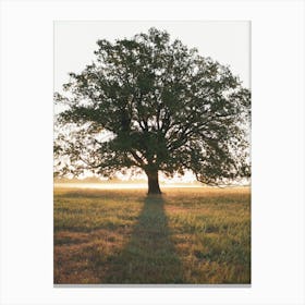 Large Oak Tree Canvas Print