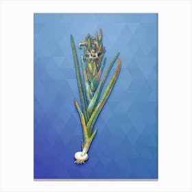 Vintage Ferraria Botanical Art on Blue Perennial n.0770 Canvas Print