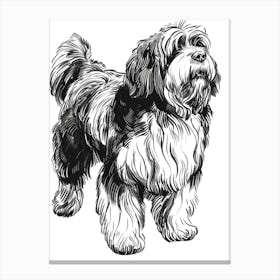 Long Hair Furry Dog Line Sketch 6 Canvas Print