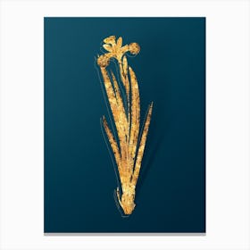 Vintage Harlequin Blueflag Botanical in Gold on Teal Blue n.0032 Canvas Print