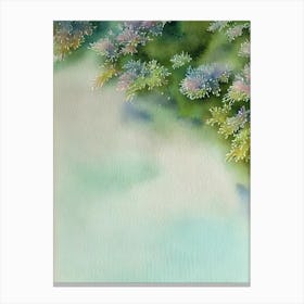 Acropora Gemmifera Vi Storybook Watercolour Canvas Print