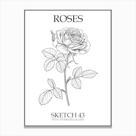 Roses Sketch 43 Poster Canvas Print