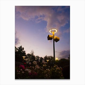 Twilight In The Park Canvas Print