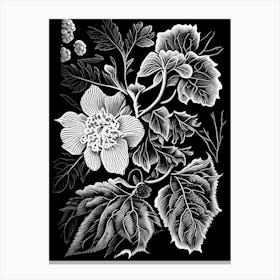 Blackberry Blossom Wildflower Linocut 2 Canvas Print