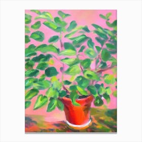 Peperomia 2 Impressionist Painting Plant Canvas Print