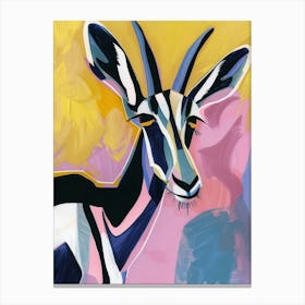 Antelope 17 Canvas Print