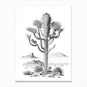 Silver Torch Joshua Tree Vintage Botanical Line Drawing  Canvas Print
