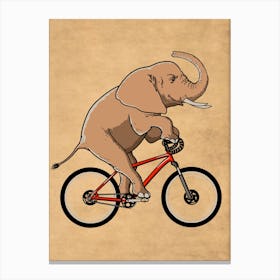 Cicling elephant Canvas Print