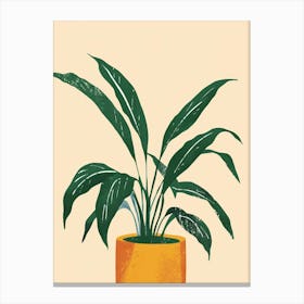 Chinese Evergreen Plant Minimalist Illustration 7 Canvas Print