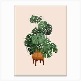 Monstera Plant In A Pot Canvas Print