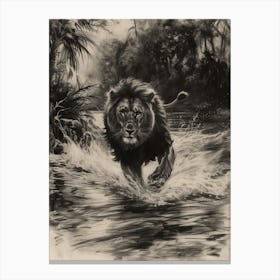 African Lion Charcoal Drawing Crossing A River 4 Canvas Print