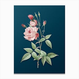 Vintage Common Rose of India Botanical Art on Teal Blue Canvas Print