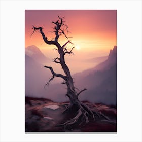 Dead Tree At Sunset Canvas Print