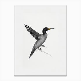 Cormorant B&W Pencil Drawing 1 Bird Canvas Print