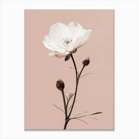 White flower minimal art Canvas Print