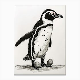 African Penguin Balancing Eggs 2 Canvas Print