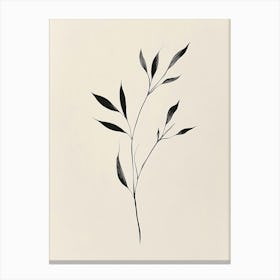 'Bamboo' Canvas Print