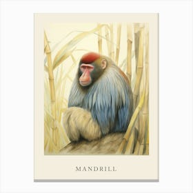 Beatrix Potter Inspired  Animal Watercolour Mandrill Canvas Print