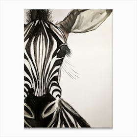 Zebra Watercolour Canvas Print