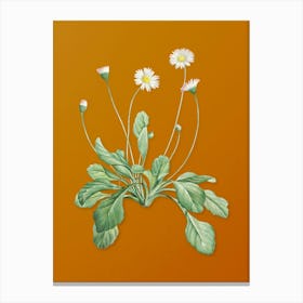 Vintage Daisy Flowers Botanical on Sunset Orange n.0914 Canvas Print
