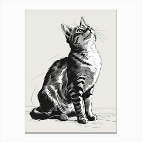 Hand Drawn Sketch Of A Cat Canvas Print