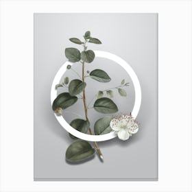 Vintage Caper Plant Minimalist Floral Geometric Circle on Soft Gray n.0222 Canvas Print