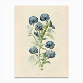 Blue Flowers Botanical Farmhouse Canvas Print