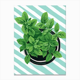 Basil Summer Illustration 10 Canvas Print