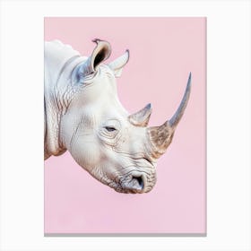 Rhino On Pink Background 1 Canvas Print