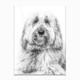 Black And White Portrait Of A Dog Canvas Print