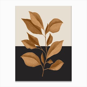 Minimal Plant 65 Canvas Print