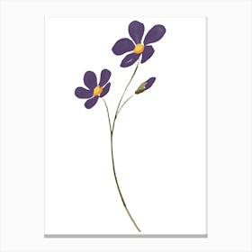 Purple Flowers 3 Canvas Print