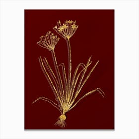 Vintage Allium Straitum Botanical in Gold on Red n.0153 Canvas Print