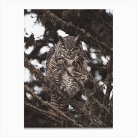 Forest Great Horned Owl Canvas Print