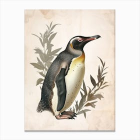 Adlie Penguin Dunedin Taiaroa Head Vintage Botanical Painting 4 Canvas Print