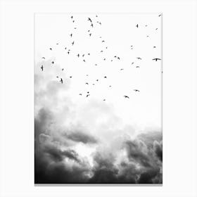 In The Sky Canvas Print