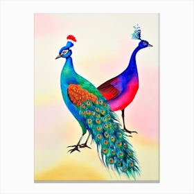 Peacock Watercolour Bird Canvas Print