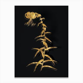 Vintage Tiger Lily Botanical in Gold on Black n.0485 Canvas Print